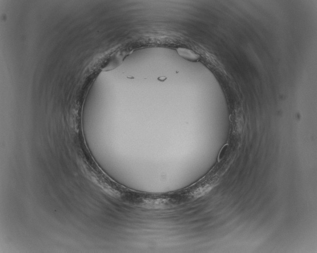 X0000081400450200702020324