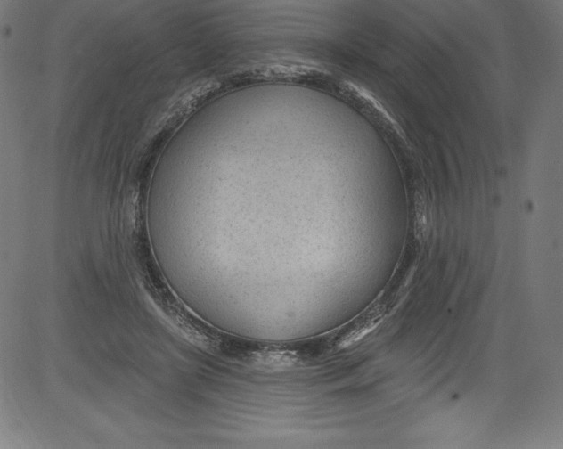 X0000081400451200702020324