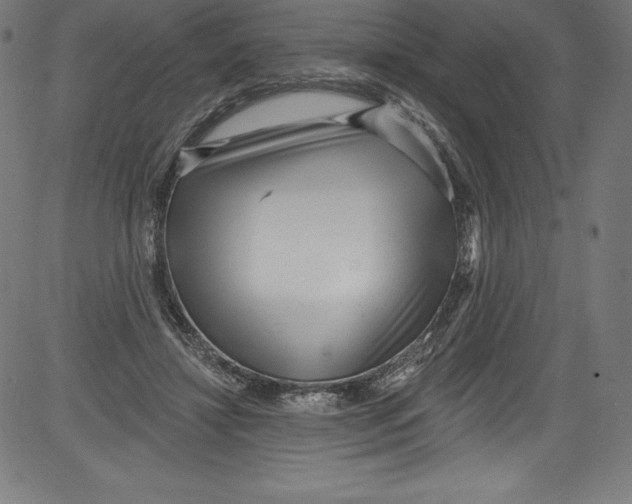 X0000081400452200702020324