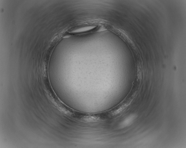 X0000081400453200702020324