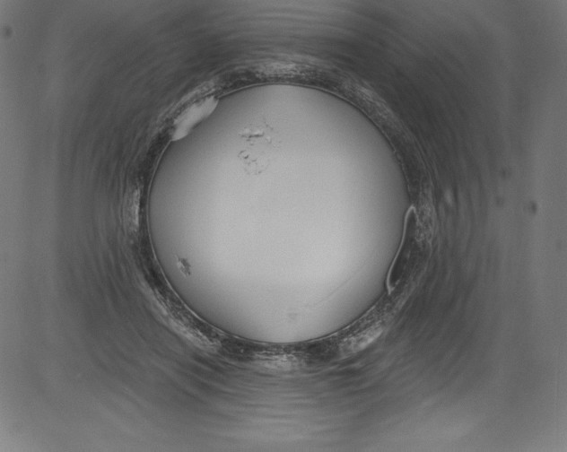 X0000081400454200702020324