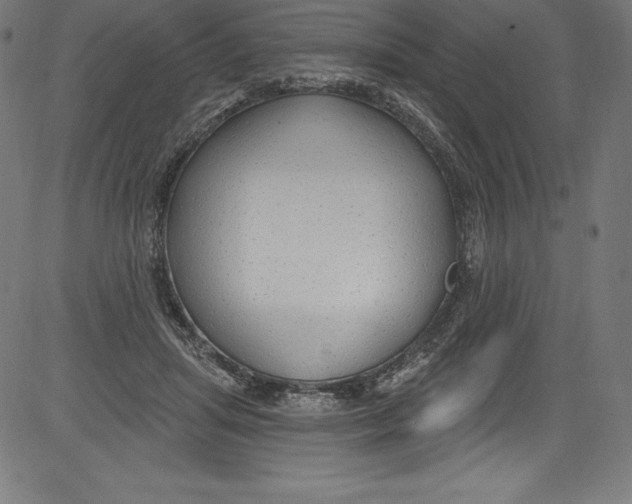 X0000081400455200702020325