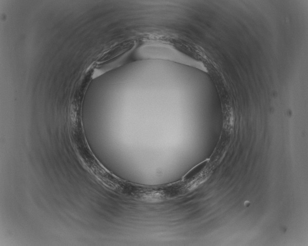 X0000081400456200702020325