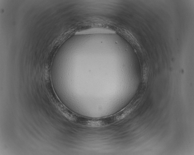 X0000081400457200702020325