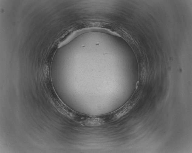 X0000081400459200702020325