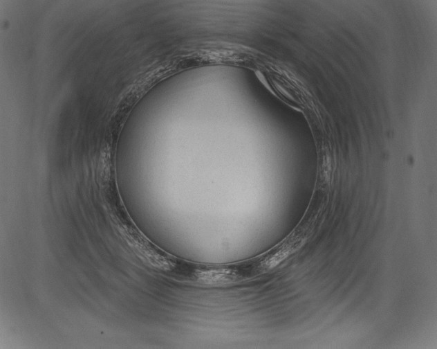 X0000081400461200702020325