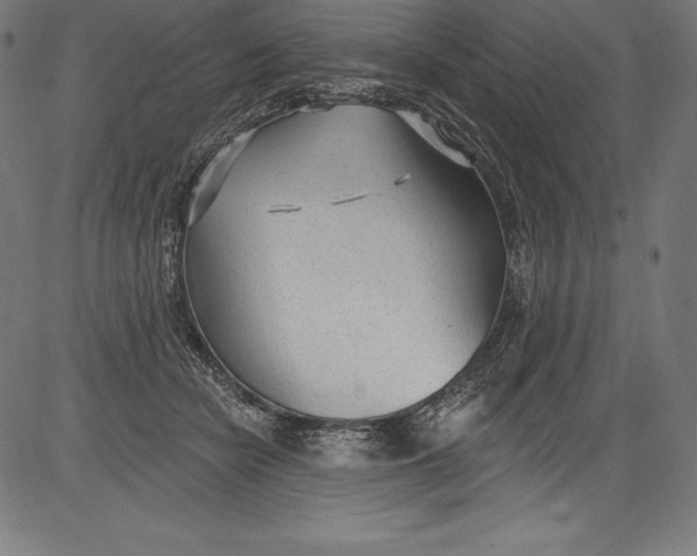 X0000081400462200702020325