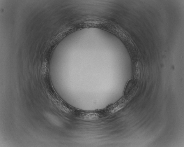 X0000081400463200702020325