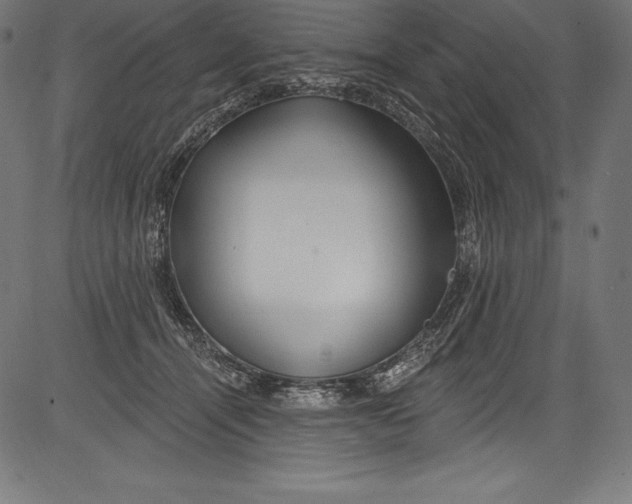 X0000081400464200702020325