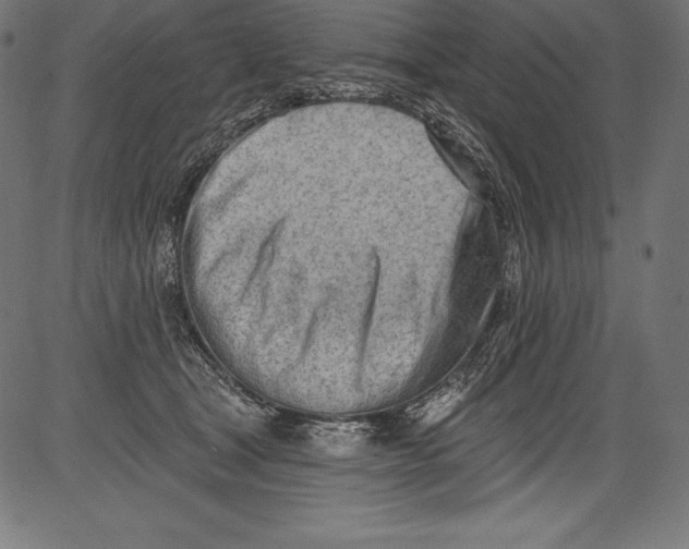 X0000081400465200702020325