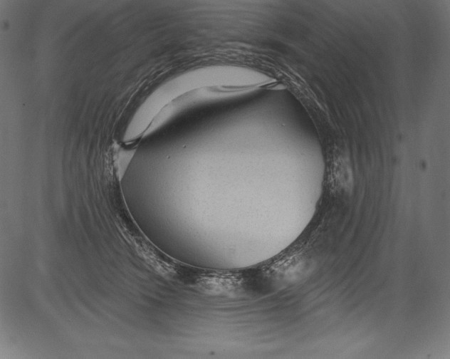 X0000081400466200702020325