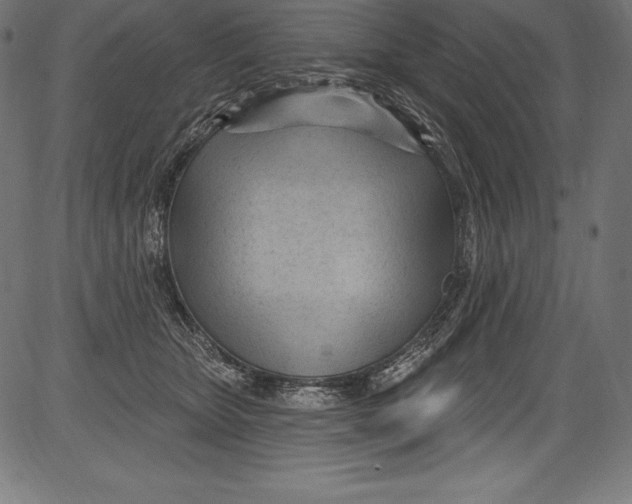 X0000081400467200702020325