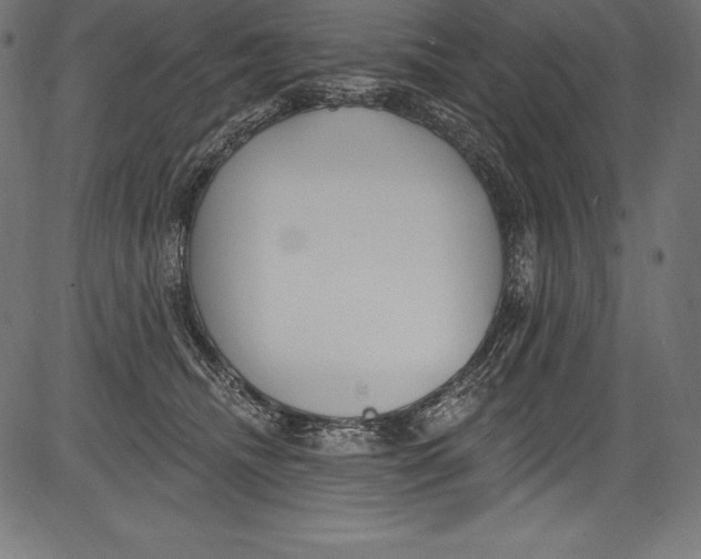 X0000081400468200702020325