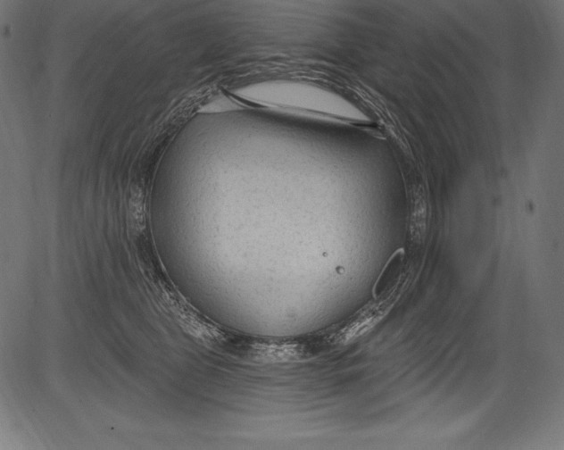 X0000081400469200702020325