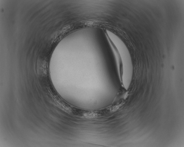 X0000081400470200702020325