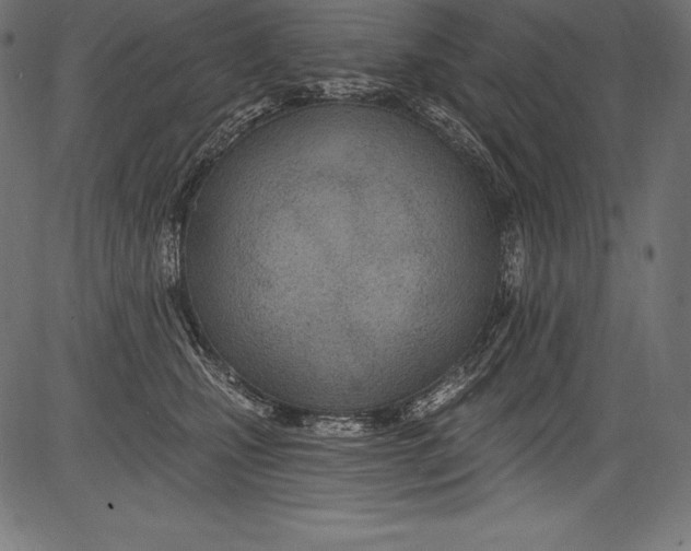 X0000081400471200702020325