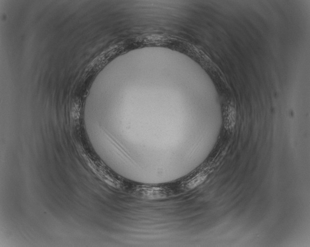 X0000081400472200702020325