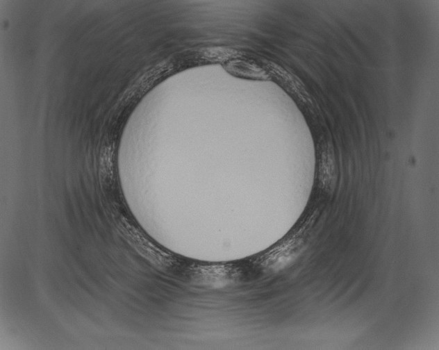 X0000081400473200702020325