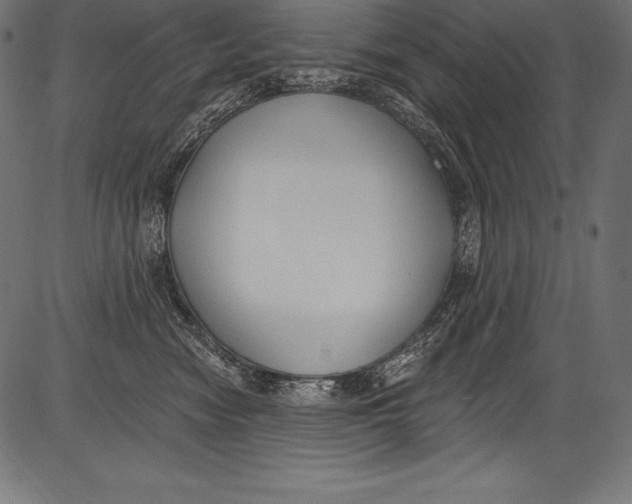 X0000081400474200702020325