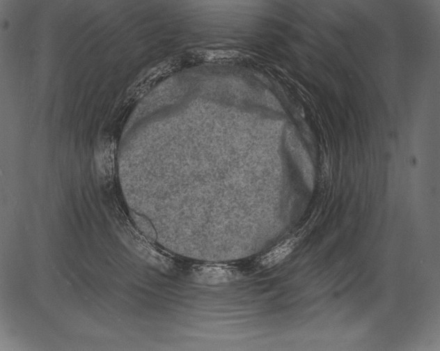 X0000081400475200702020325