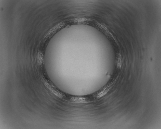 X0000081400476200702020325