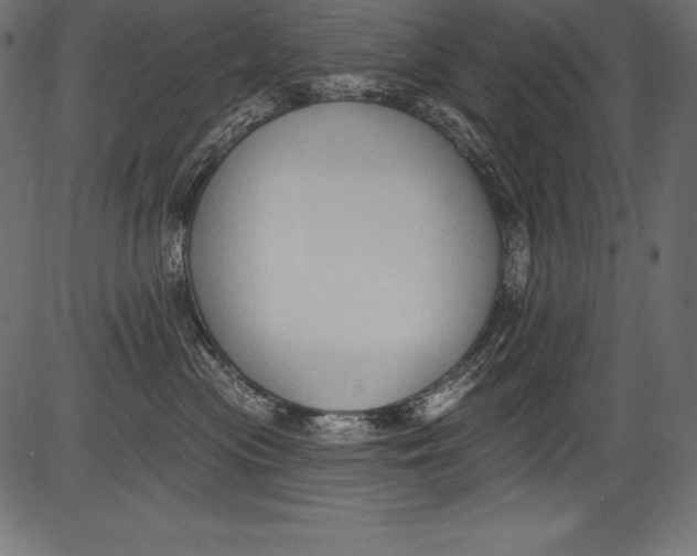 X0000081400477200702020325