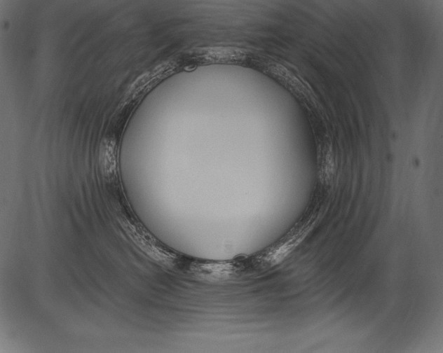 X0000081400478200702020325