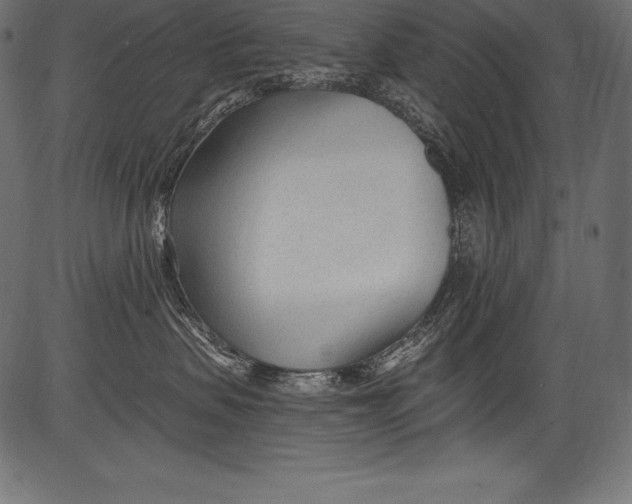 X0000081400479200702020325