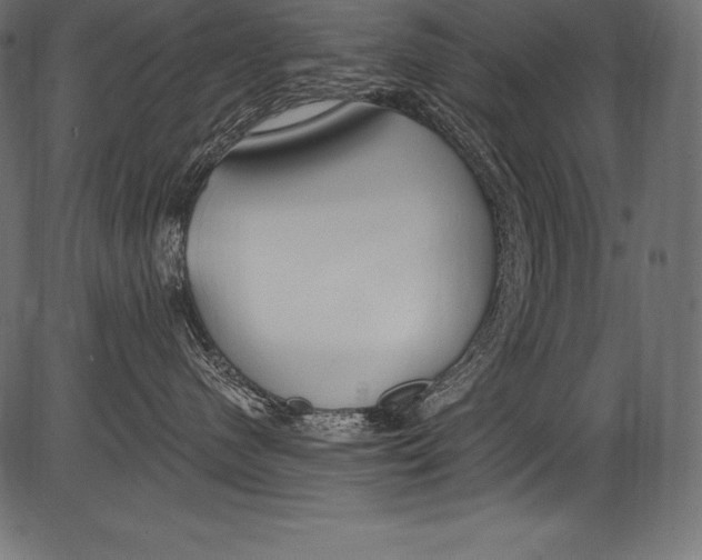 X0000081400480200702020325