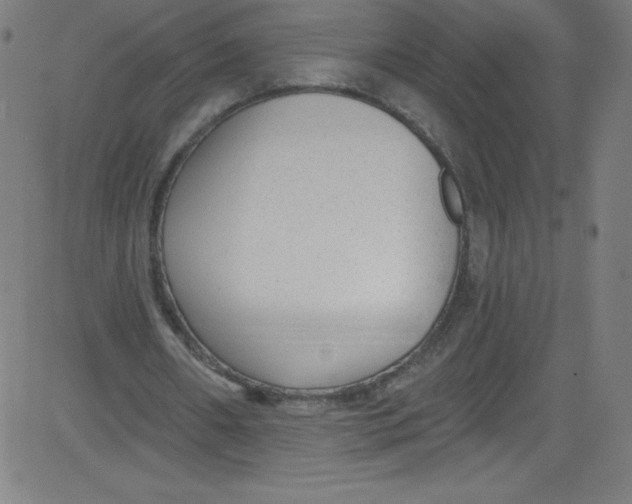 X0000081400482200702020324