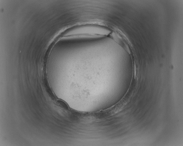 X0000081400483200702020324