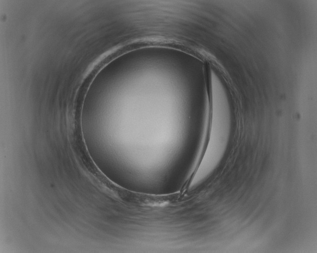 X0000081400484200702020324