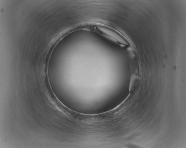 X0000081400485200702020324