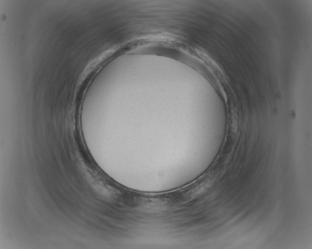 X0000081400486200702020324