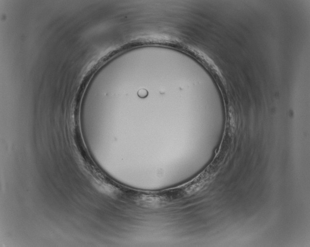 X0000081400487200702020324