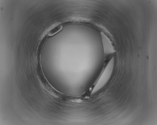 X0000081400488200702020324