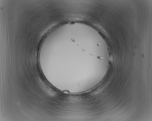 X0000081400490200702020324