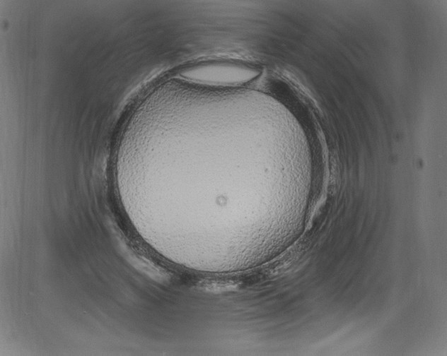 X0000081400491200702020324