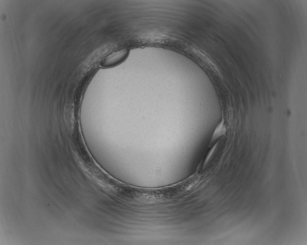 X0000081400494200702020324