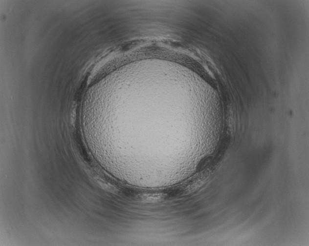 X0000081400495200702020324