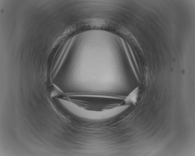 X0000081400496200702020324