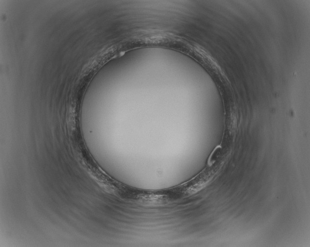 X0000081400497200702020324