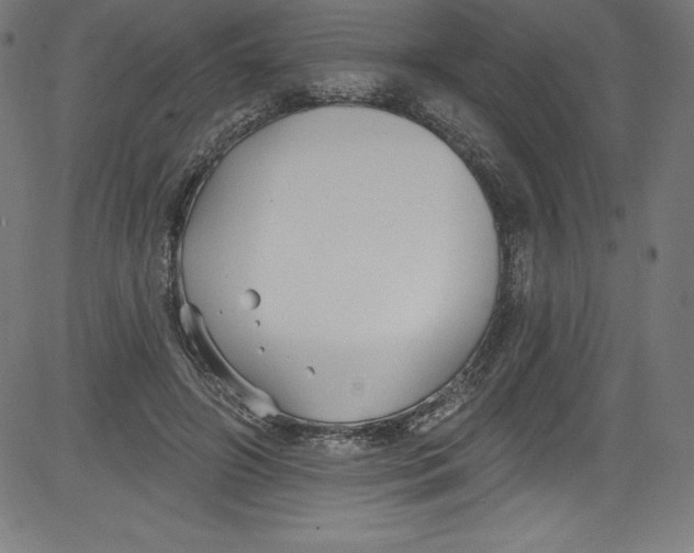 X0000081400498200702020324