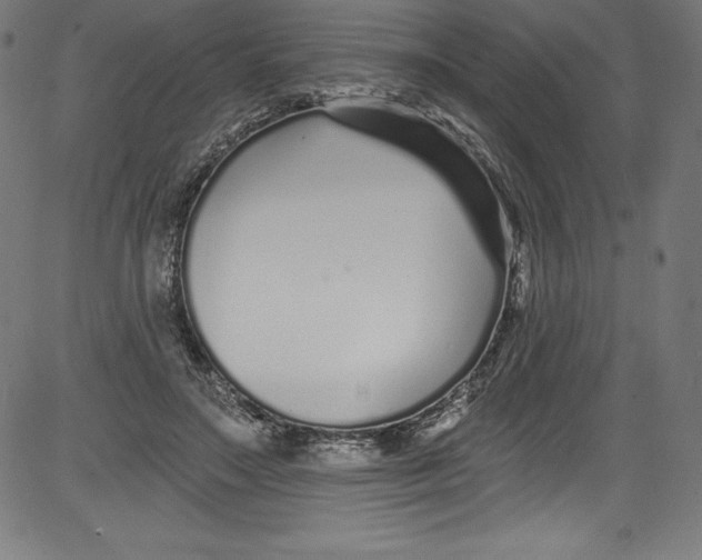 X0000081400499200702020324