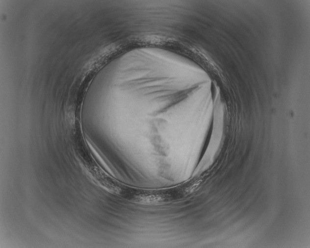 X0000081400500200702020324