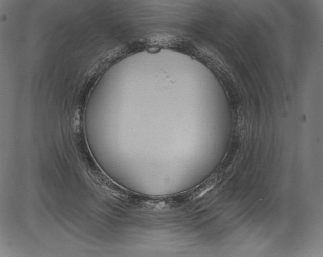 X0000081400502200702020324