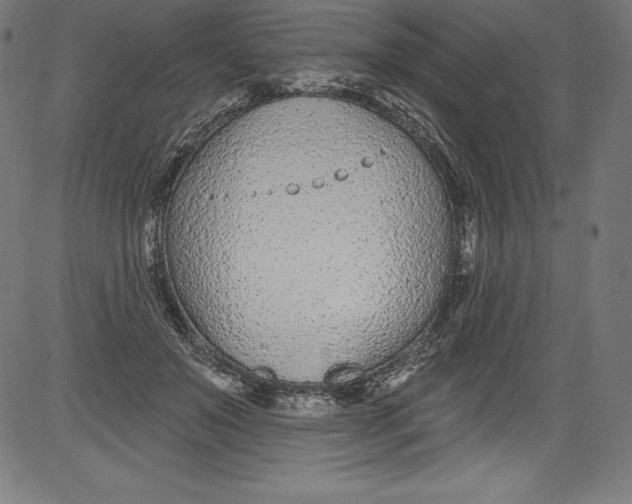 X0000081400503200702020324