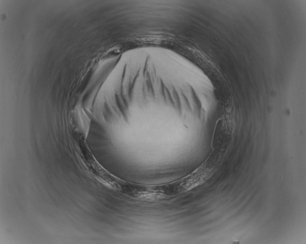 X0000081400504200702020324