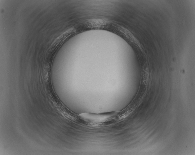 X0000081400505200702020324