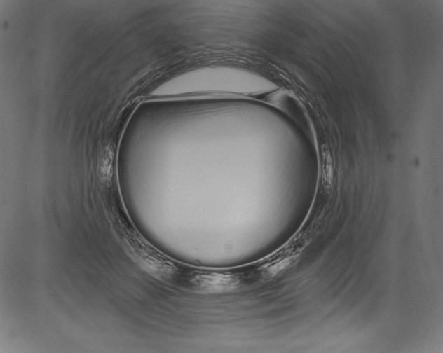 X0000081400507200702020324